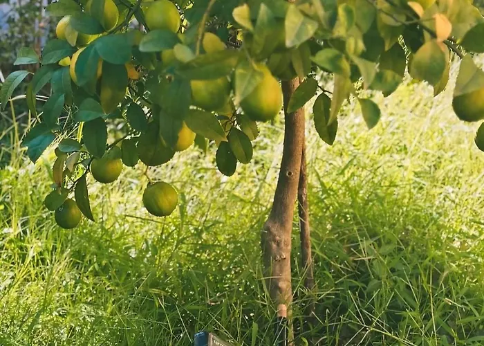 Appartement Js House 1 *