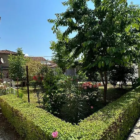 Js House 1 * Shkodër