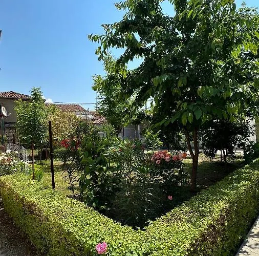 Js House 1 * Shkodër